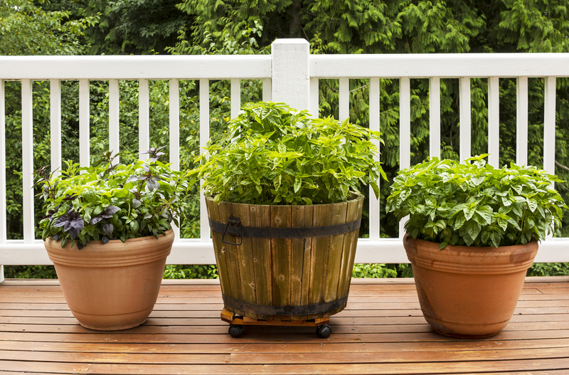 landscape design garden
