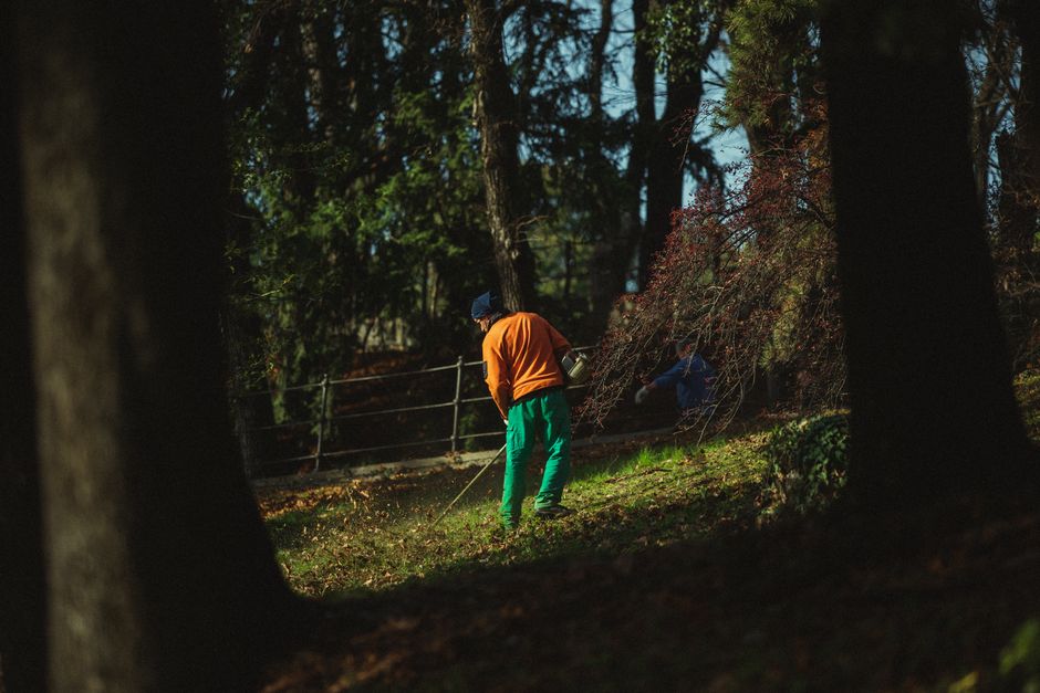 A gardener wearing a bright orange jacket, teal trousers, and a dark cap is engaged in garden maintenance within a shaded outdoor area surrounded by tall trees and dense foliage. The gardener is using a rake or similar tool to clear fallen leaves or debris on the grassy ground, which shows a mix of lush green patches and damp soil. In the background, another person is partially visible, possibly also engaged in gardening activity. The scene is illuminated by natural light filtering through the tree canopy, highlighting the textured bark of the trees, the various shades of green in the leaves, and the overall well-maintained landscape. The area includes a small lawn bordered by garden beds and a wooden fence, reflecting professional landscaping or grounds management. This setting exemplifies professional lawn care and hedge trimming work, aligning with the themes detailed in the Ealing office gardeners' commercial grounds maintenance guide by Gardeners Ealing.