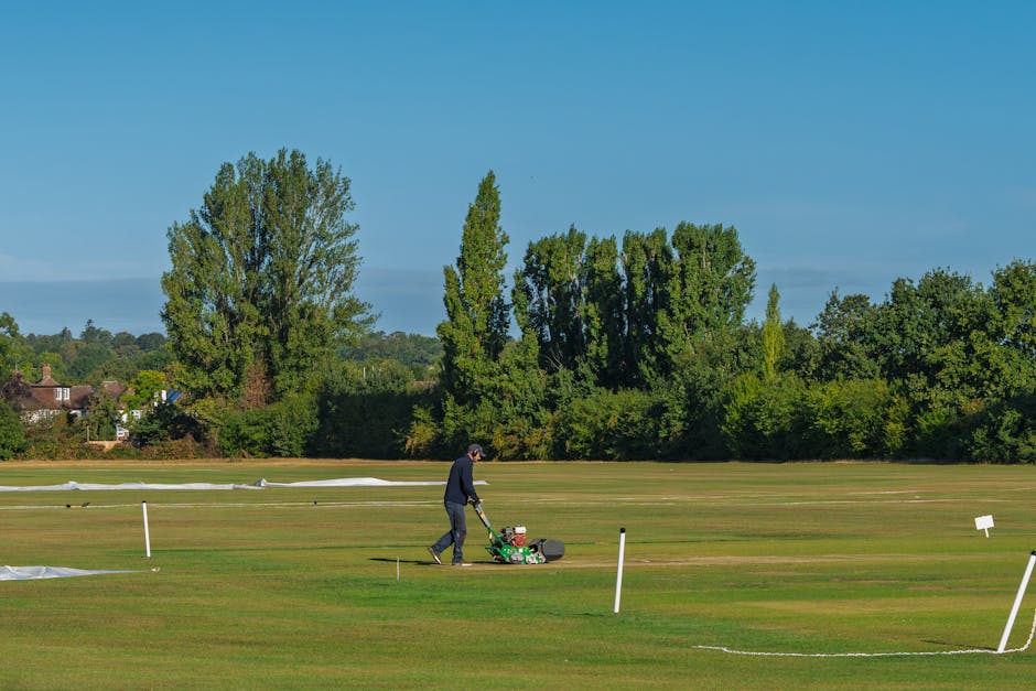 A gardener from Gardeners Ealing is operating a petrol-powered lawn mower on a large, well-maintained grassy area in an outdoor garden or park setting. The grass appears freshly cut with defined edges, and the mower is moving across the turf, creating neat, short patches. In the background, there are several tall, leafy trees with lush green foliage, along with a few residential houses partly obscured by the trees. The sky is clear and blue, with bright sunlight illuminating the scene. Small white markers and stakes are scattered across the lawn, indicating sections of the garden to be maintained or marked for landscaping work. The environment suggests routine garden maintenance focused on lawn care and landscape upkeep, typical of a professional grounds maintenance service like those provided by Gardeners Ealing.